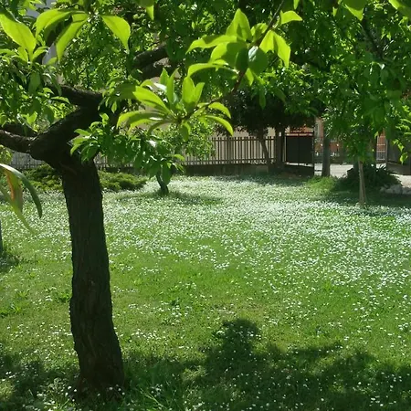 Casa Di Campagna 莫斯西亚诺·圣安吉罗